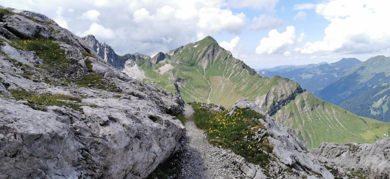 SunAlpin - Ferienwohnungen Schoppernau Exterior foto